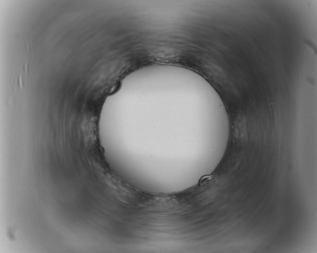 X0000103301346200809122021