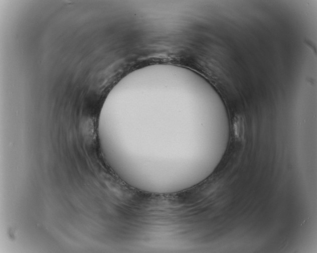 X0000103301347200809122021