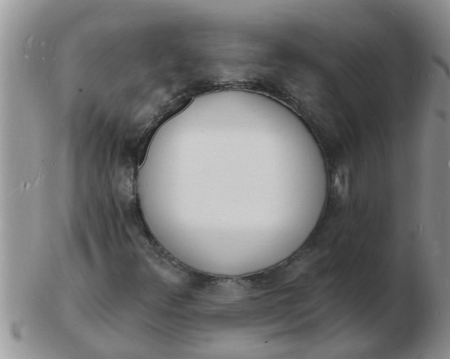 X0000103301348200809122021