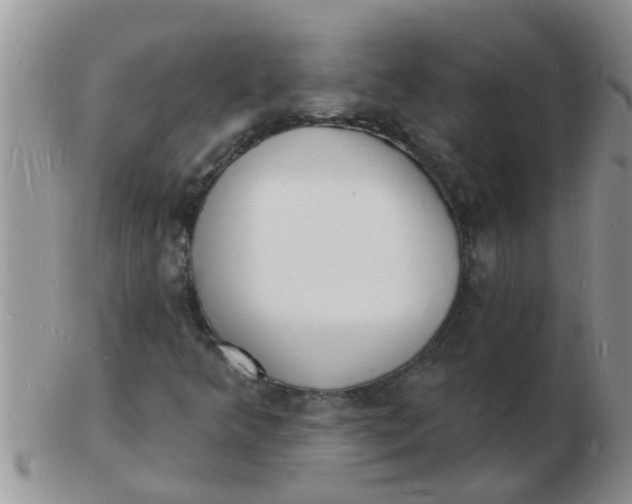 X0000103301349200809122021