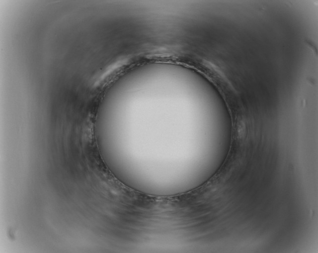 X0000103301350200809122021