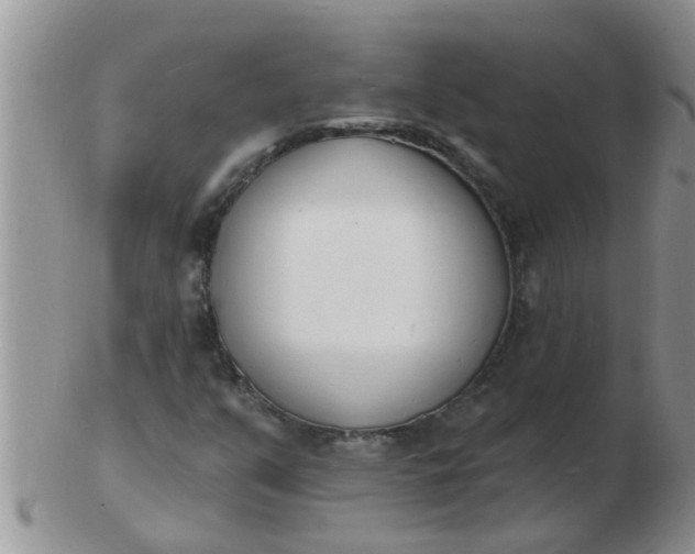 X0000103301351200809122021