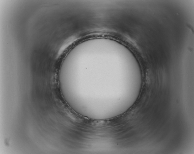 X0000103301352200809122021