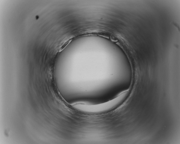 X0000103301353200809122021