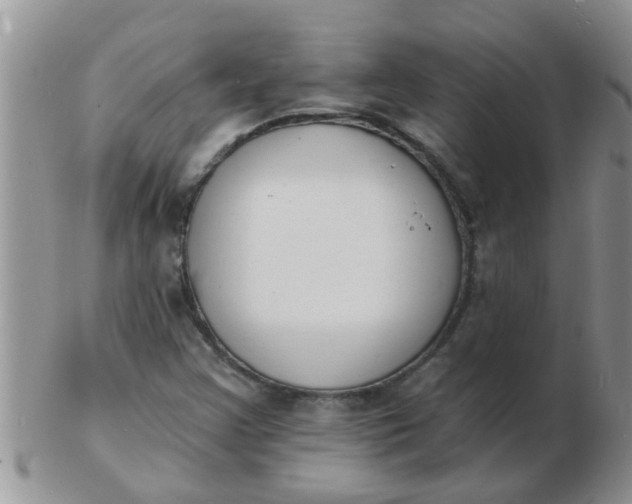 X0000103301355200809122021