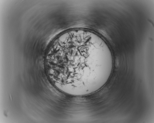 X0000103301356200809122020