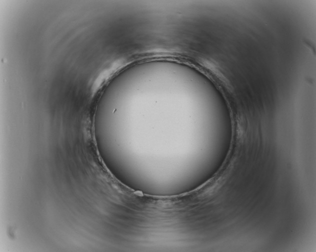 X0000103301357200809122020