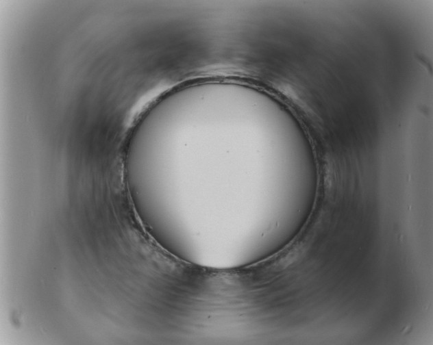 X0000103301358200809122020