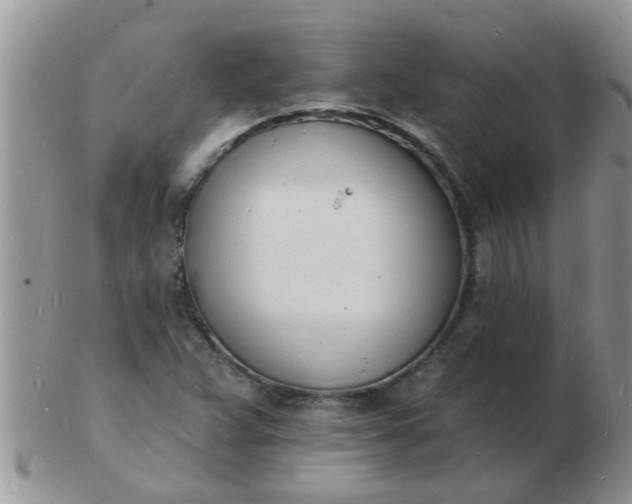 X0000103301359200809122020