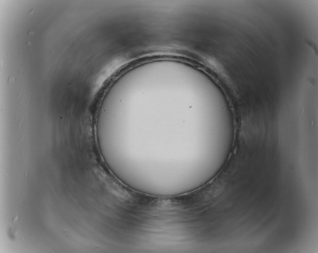 X0000103301360200809122020