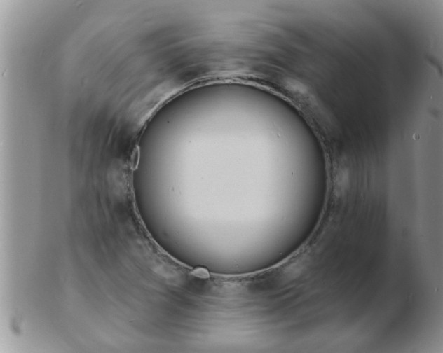 X0000103301361200809122020