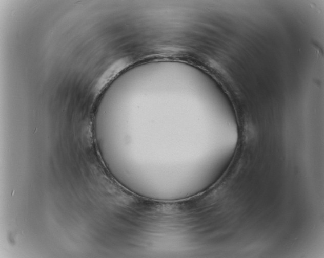 X0000103301362200809122020