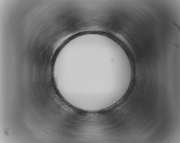 X0000103301364200809122020