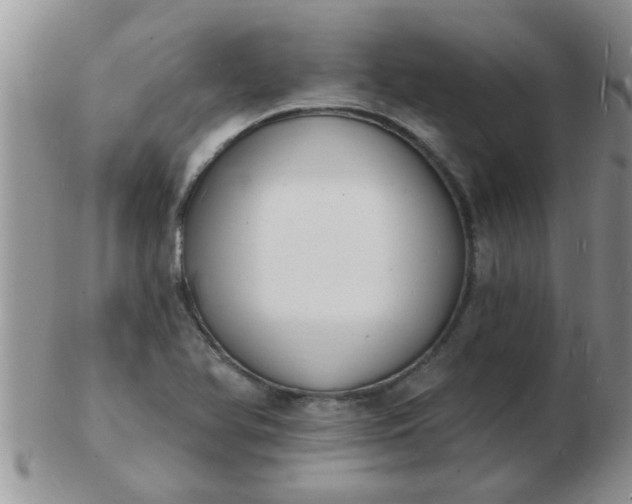 X0000103301366200809122020