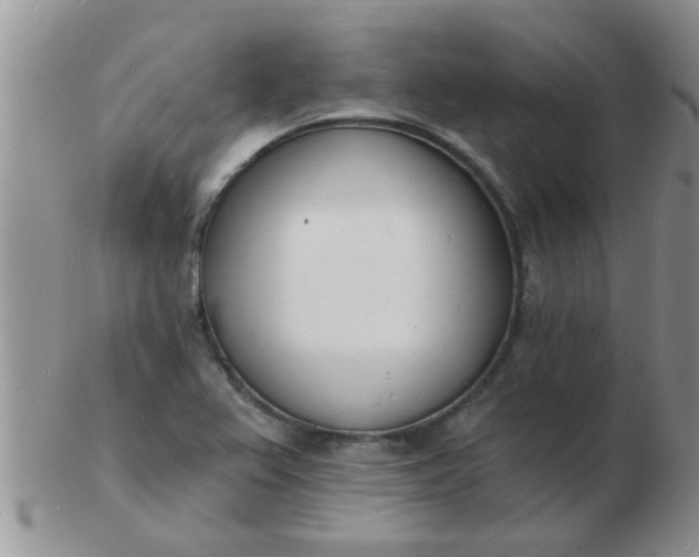 X0000103301367200809122020