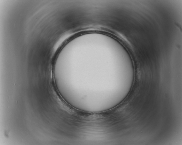 X0000103301368200809122020