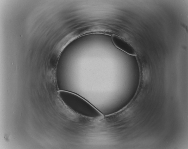 X0000103301369200809122020