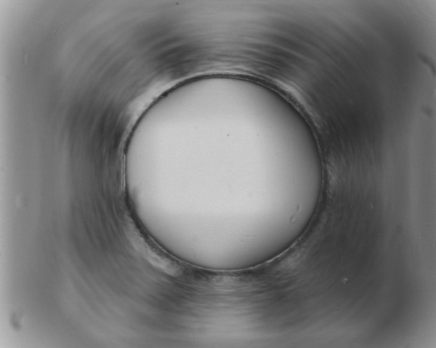 X0000103301371200809122020