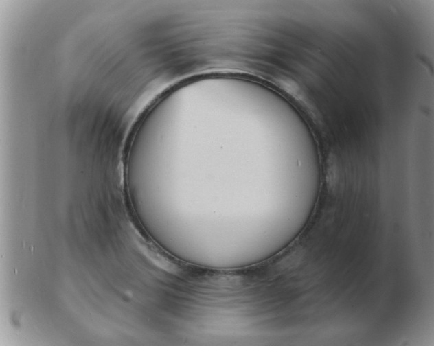 X0000103301372200809122020