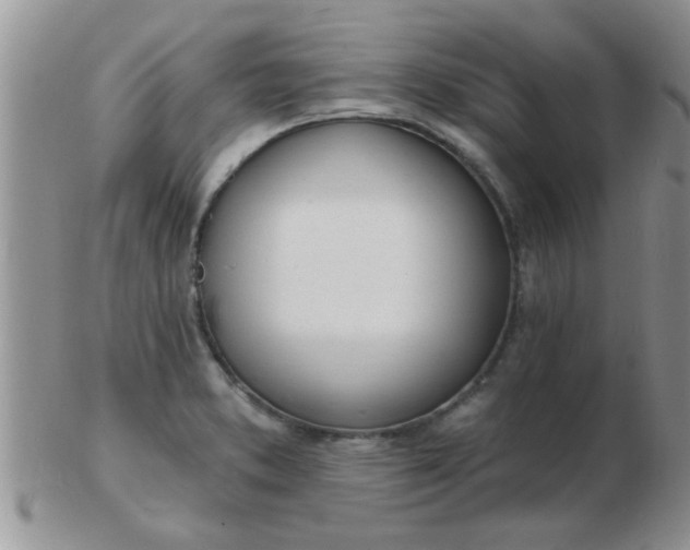 X0000103301373200809122020