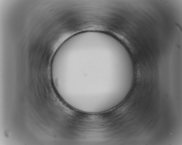 X0000103301375200809122020