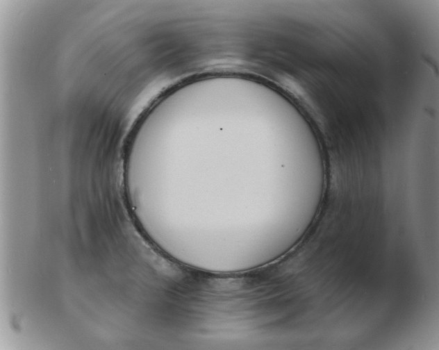 X0000103301376200809122020