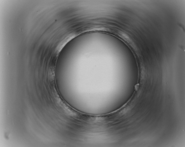 X0000103301377200809122020