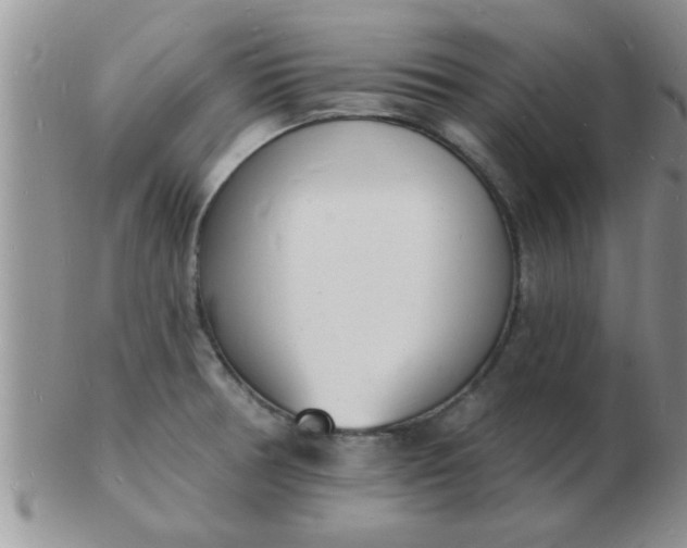 X0000103301378200809122020