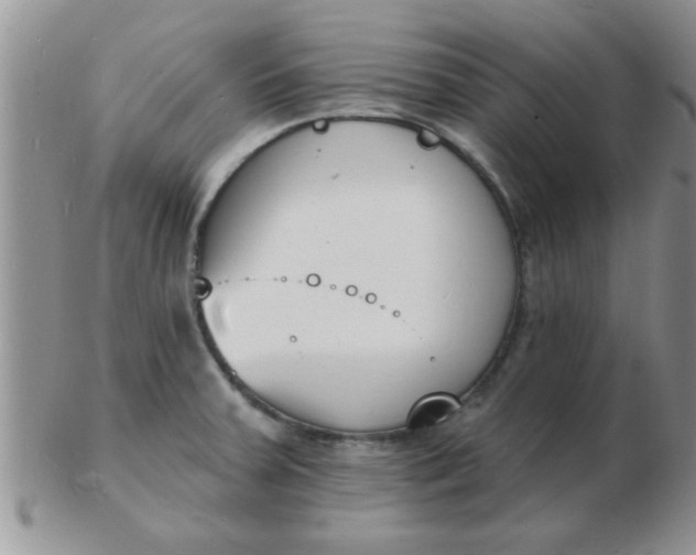 X0000103301379200809122020