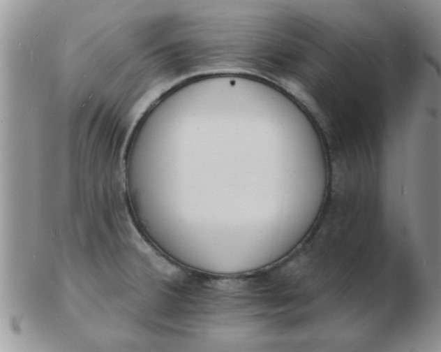 X0000103301380200809122020