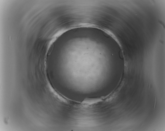 X0000103301381200809122020