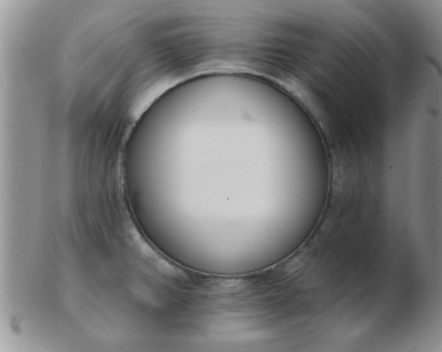 X0000103301382200809122020