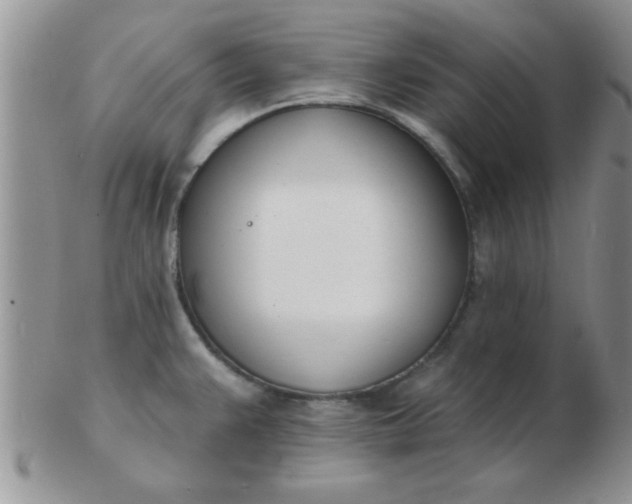 X0000103301383200809122020