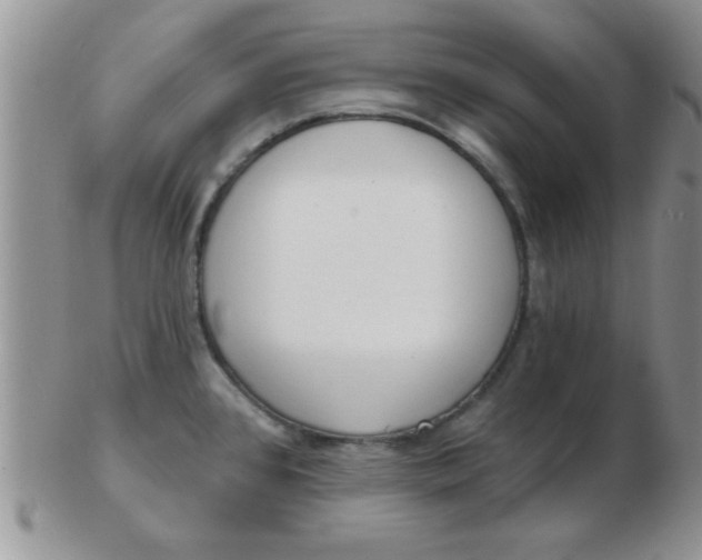 X0000103301384200809122020