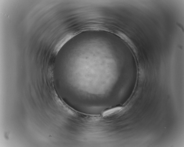 X0000103301385200809122020