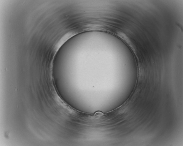 X0000103301386200809122020