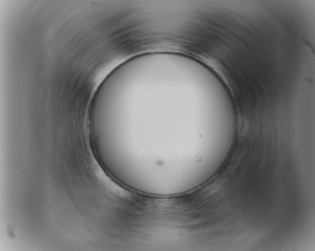 X0000103301387200809122020