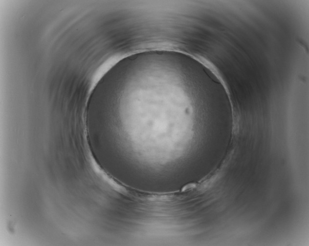 X0000103301389200809122020