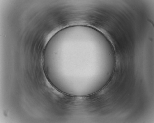 X0000103301390200809122020