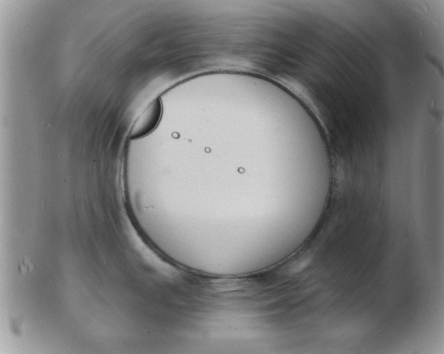 X0000103301391200809122020