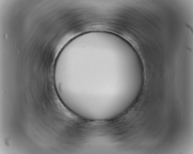 X0000103301392200809122020