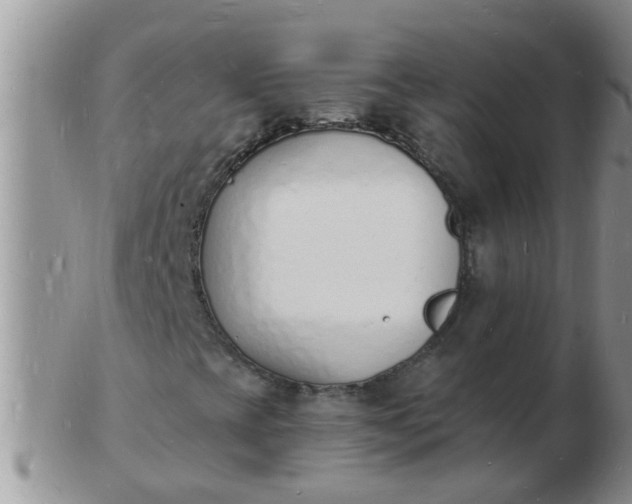 X0000103301393200809122019