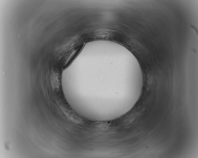 X0000103301394200809122019