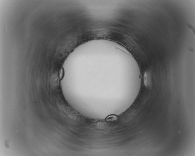 X0000103301395200809122019