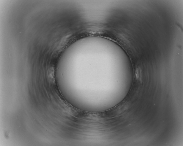 X0000103301396200809122019