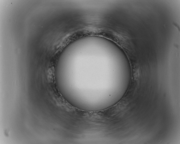 X0000103301397200809122019