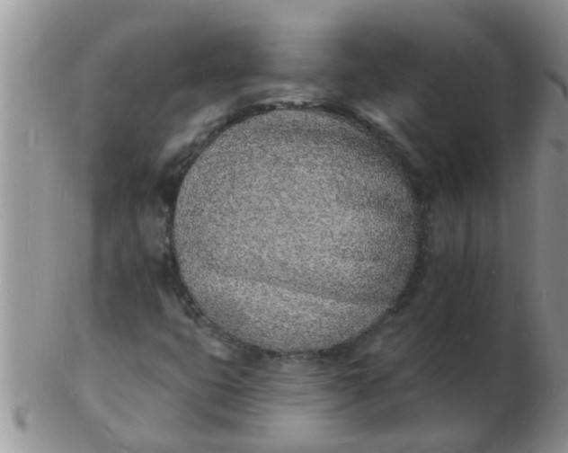 X0000103301399200809122019