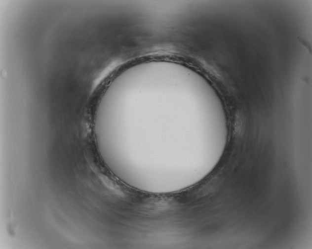 X0000103301400200809122019