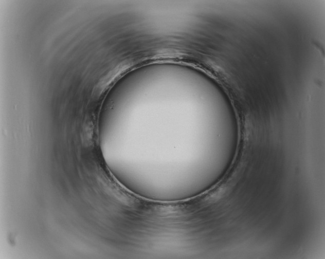 X0000103301401200809122019