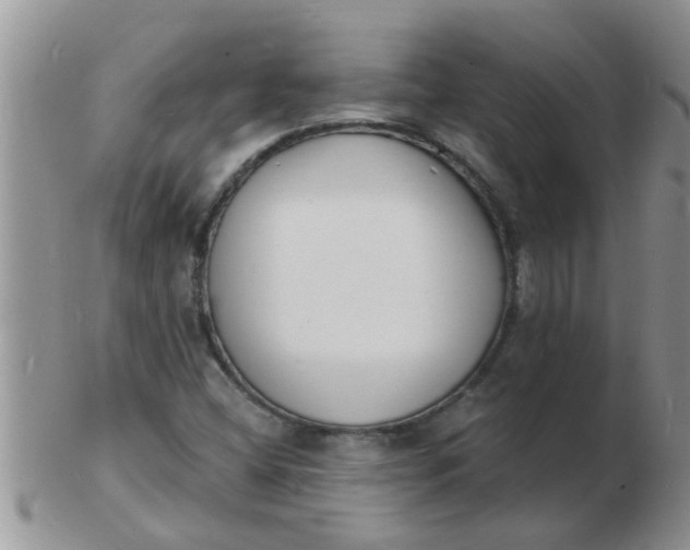 X0000103301404200809122019